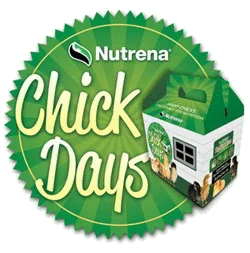 chickdays